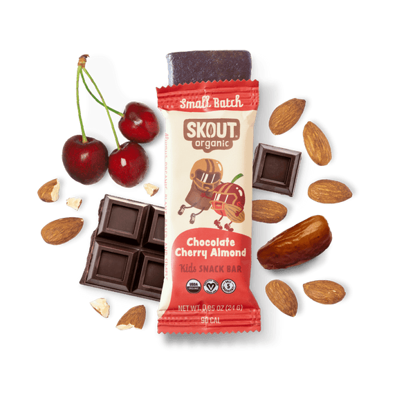 Chocolate Cherry Almond Kids Bar Build Your Own Box - Single Bar Skout Organic Bar 