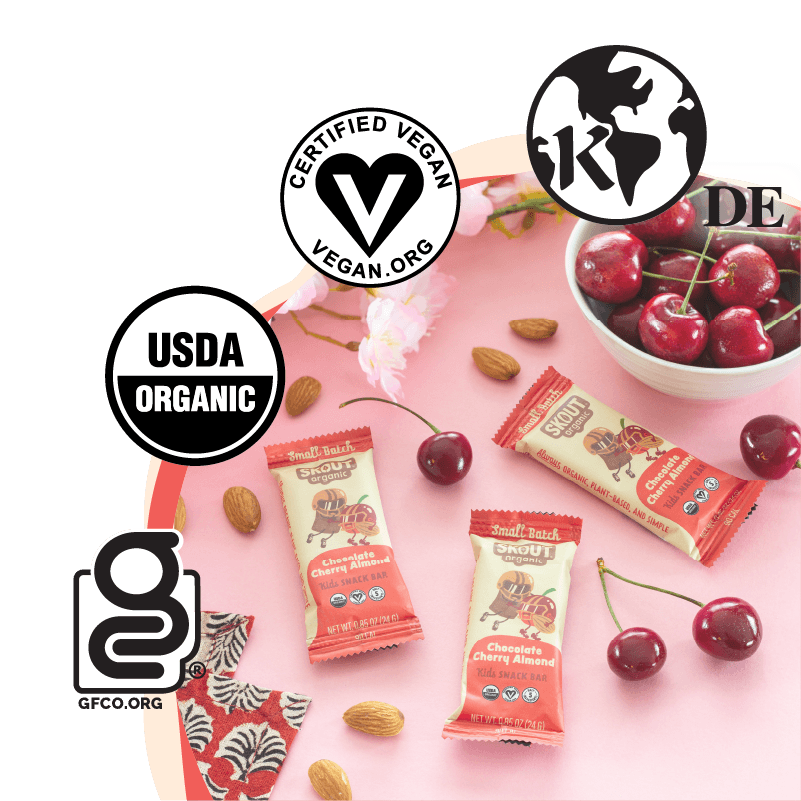 Skout Organic Chocolate Cherry Almond Kids Bar Organic Kids Bars Skout Organic 