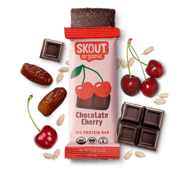 Chocolate Cherry Protein Bar Build Your Own Box - Single Bar Skout Organic Bar 
