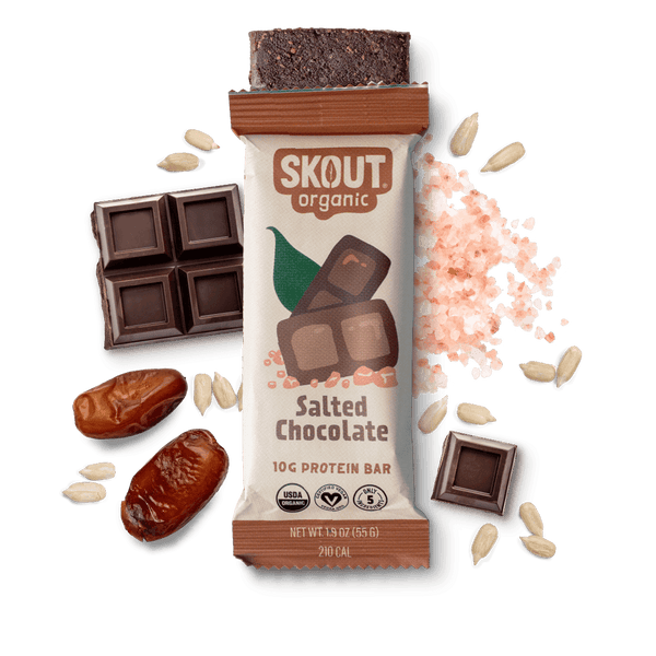 Salted Chocolate Protein Bar Build Your Own Box - Single Bar Skout Organic Bar 