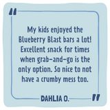 Skout Organic Blueberry Blast Kids Bar Organic Kids Bars Skout Organic 