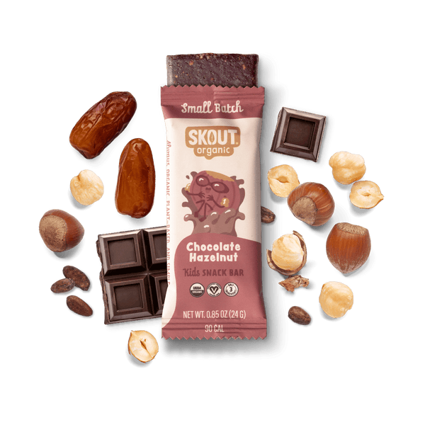 Skout Organic Chocolate Hazelnut Kids Bar