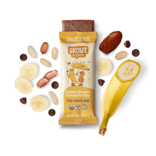 Skout Organic Peanut Banana Chocolate Chip Kids Bar Organic Kids Bars Skout Organic 6 Pack 