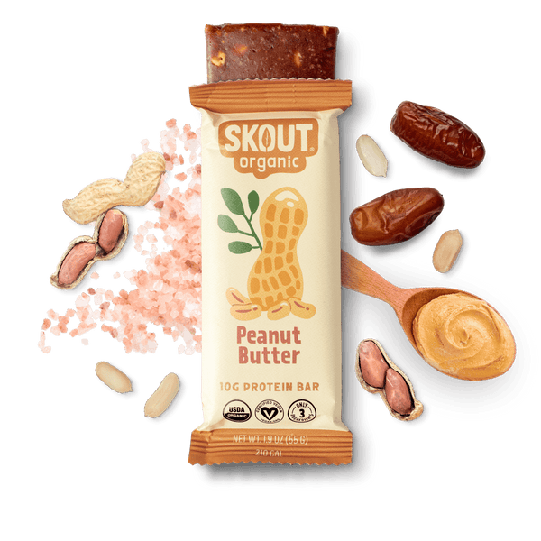 Skout Organic Peanut Butter Protein Bar Organic Protein Bar Skout Organic 