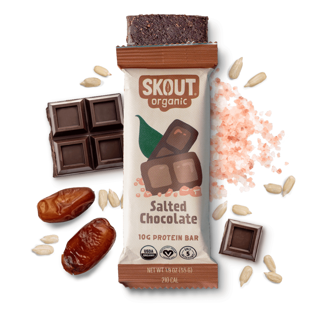 Skout Organic Salted Chocolate Protein Bar Organic Protein Bar Skout Organic 15 Pack 