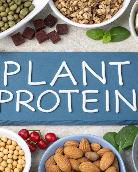 Top 10 Plant Based Protein Sources Your Family Will Actually Eat in 2025