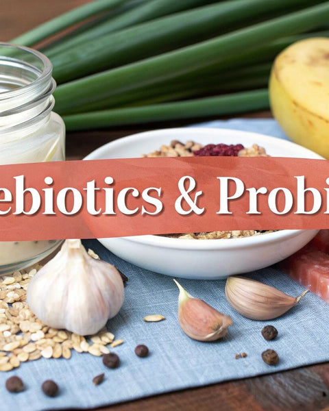 What Are Prebiotics and Probiotics for Gut Health