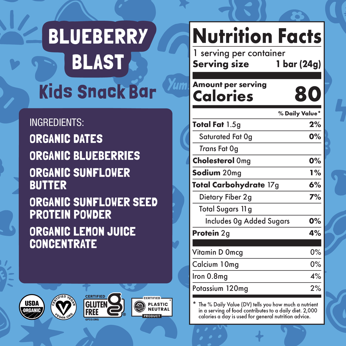 Skout Organic Blueberry Blast Kids Bar Organic Kids Bars Skout Organic 