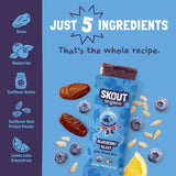Skout Organic Blueberry Blast Kids Bar Organic Kids Bars Skout Organic 
