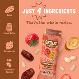 Ingredient graphic showing all 4 ingredients in a Peanut Butter & Jelly Kids Snack Bar: dates, peanut butter, strawberries, and strawberry essence.