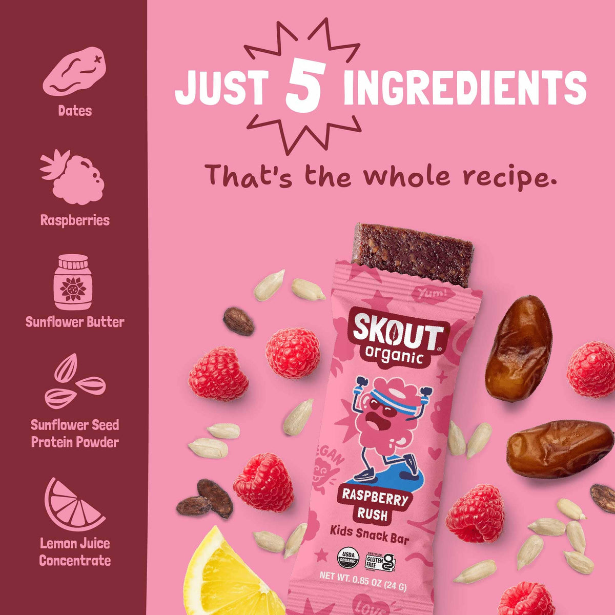 Ingredient graphic showing all 5 ingredients in Raspberry Rush Kids Snack Bar: dates, raspberries, sunflower butter, sunflower seed protein powder, and lemon juice concentrate.