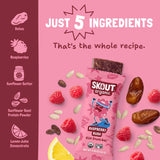 Ingredient graphic showing all 5 ingredients in Raspberry Rush Kids Snack Bar: dates, raspberries, sunflower butter, sunflower seed protein powder, and lemon juice concentrate.