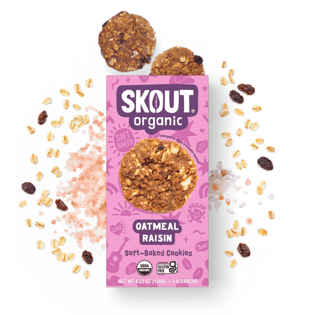 Skout Organic Oatmeal Raisin Soft-Baked Cookies in an open box, surrounded by oats and raisins.