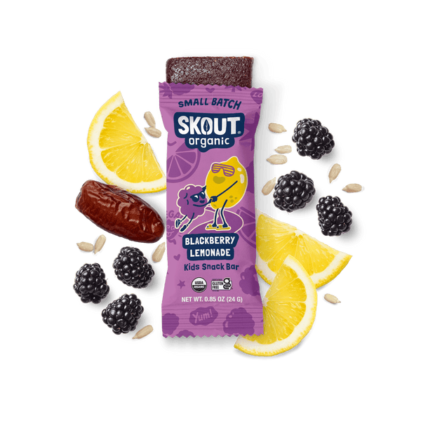 Blackberry Lemonade Kids Bar - Bundle Build a Bundle - Single Unit Skout Organic 
