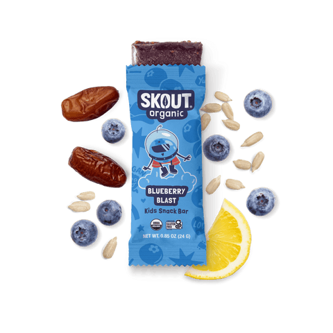 Blueberry Blast Kids Bar Build Your Own Box - Single Bar Skout Organic Bar 