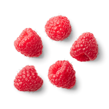 Skout Organic Kids Snack Bar | Raspberry Rush