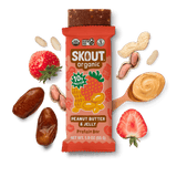Peanut Butter & Jelly Protein Bar Build Your Own Box - Single Bar Skout Organic Bar 
