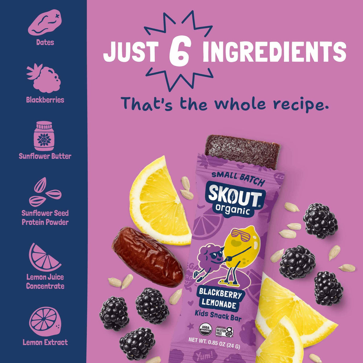 Skout Organic Blackberry Lemonade Kids Bar Organic Kids Bars Skout Organic 