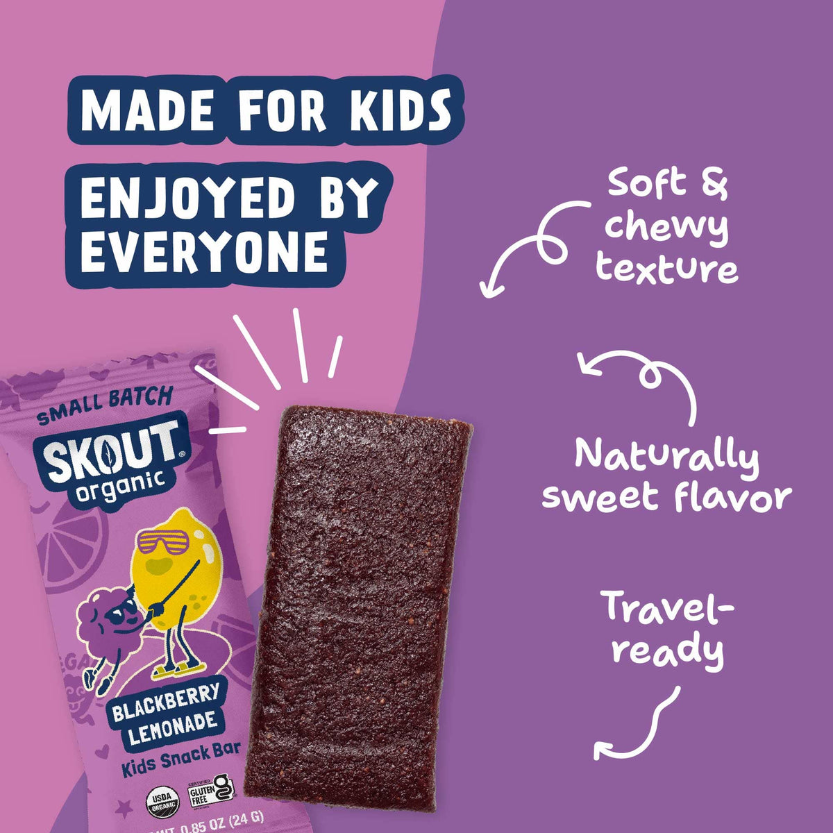 Skout Organic Blackberry Lemonade Kids Bar Organic Kids Bars Skout Organic 
