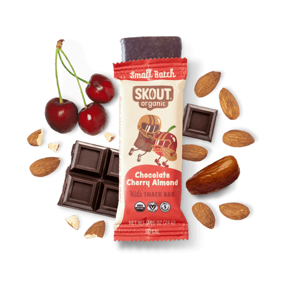 Skout Organic Chocolate Cherry Almond Kids Bar Organic Kids Bars Skout Organic 6 Pack 