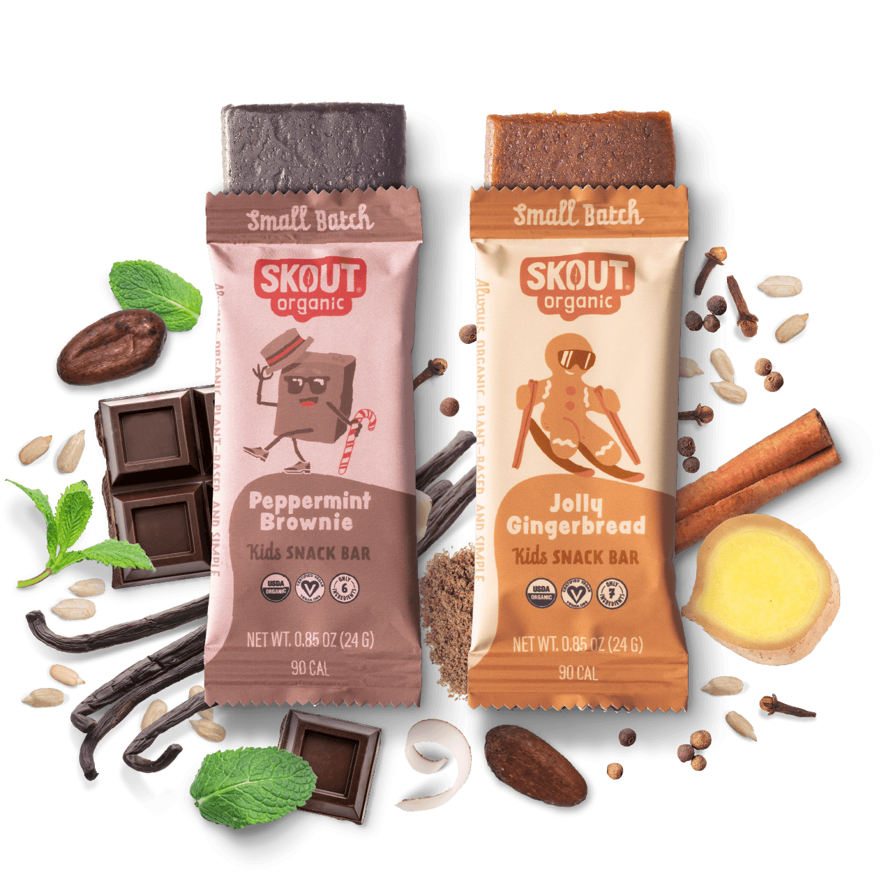 Skout Organic Holiday Kids Bar Bundle Organic Kids Bars Skout Organic 18 Pack 