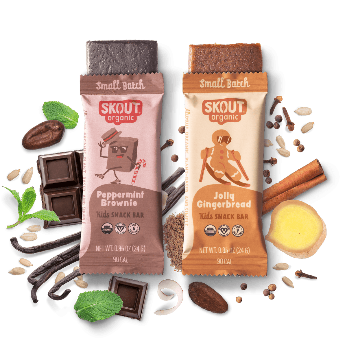 Skout Organic Holiday Kids Bar Bundle Organic Kids Bars Skout Organic 18 Pack 