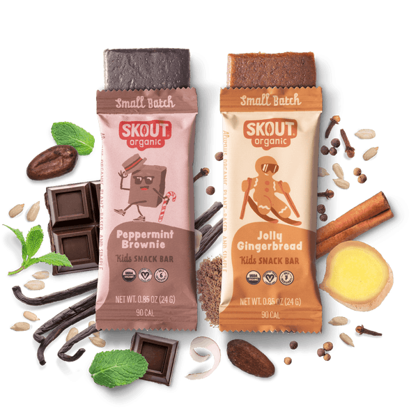 Skout Organic Holiday Kids Bar Bundle Organic Kids Bars Skout Organic 18 Pack 