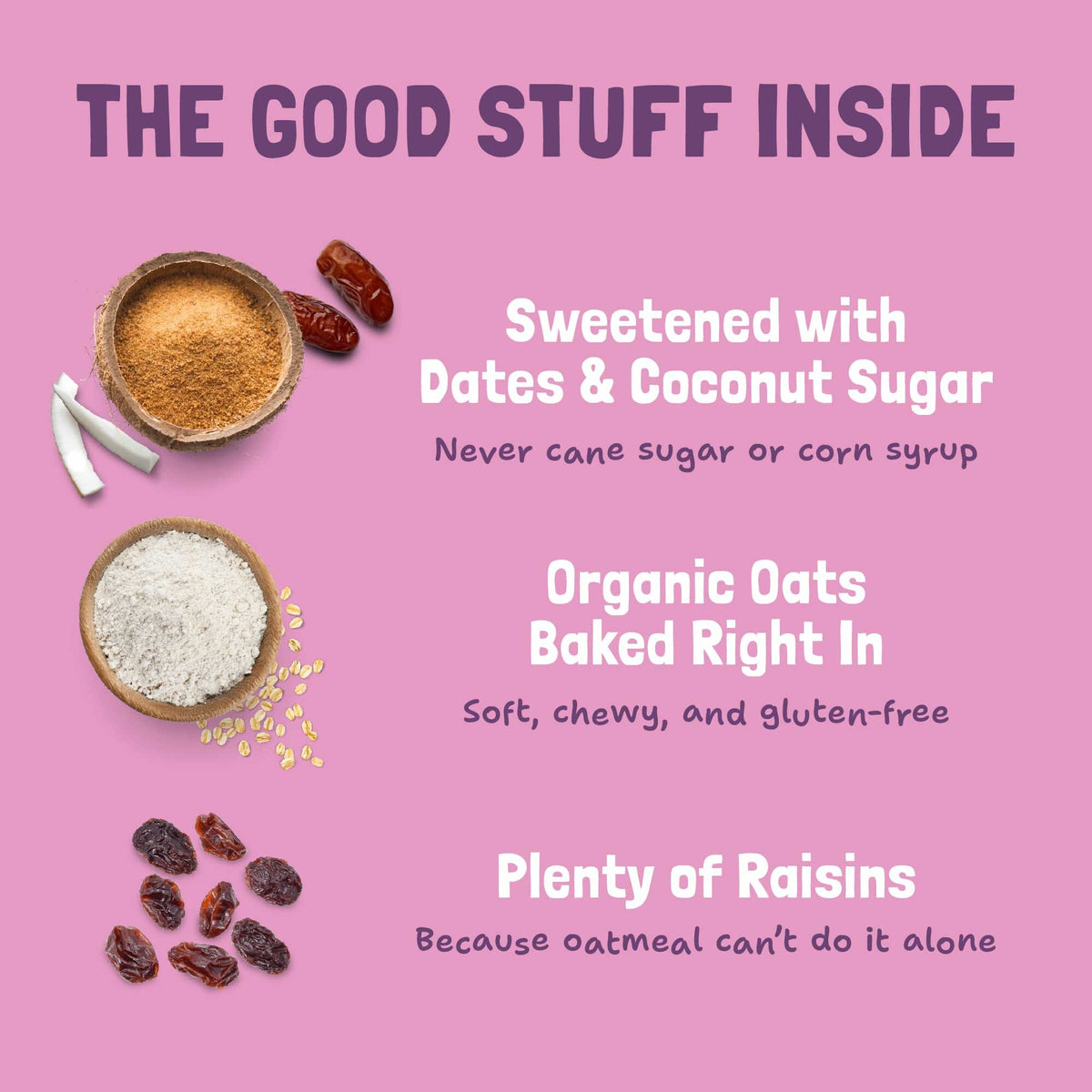 Skout Organic Oatmeal Raisin Soft-Baked Cookies Soft Baked Cookies Skout Organic 