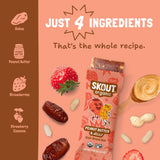 Skout Organic Peanut Butter & Jelly Kids Bar Organic Kids Bars Skout Organic 