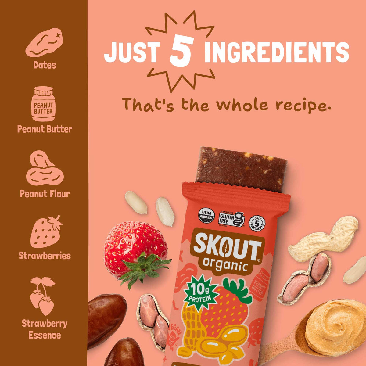Skout Organic Peanut Butter & Jelly Protein Bar Organic Protein Bar Skout Organic 
