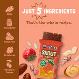 Skout Organic Peanut Butter & Jelly Protein Bar Organic Protein Bar Skout Organic 