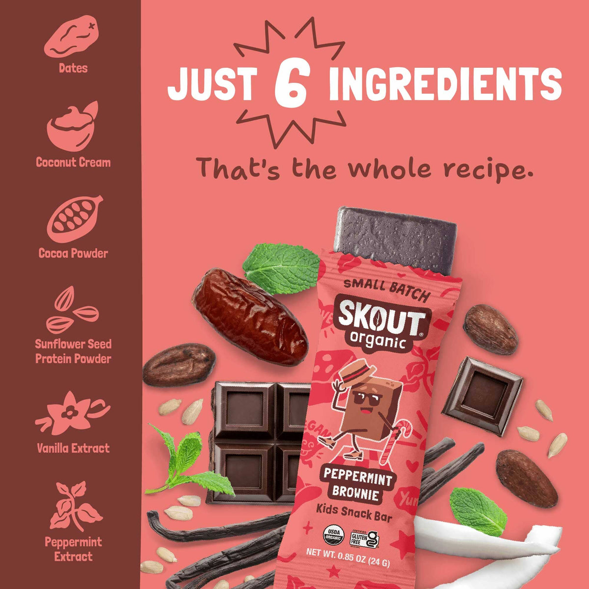 Skout Organic Peppermint Brownie Kids Bar Organic Kids Bars Skout Organic 