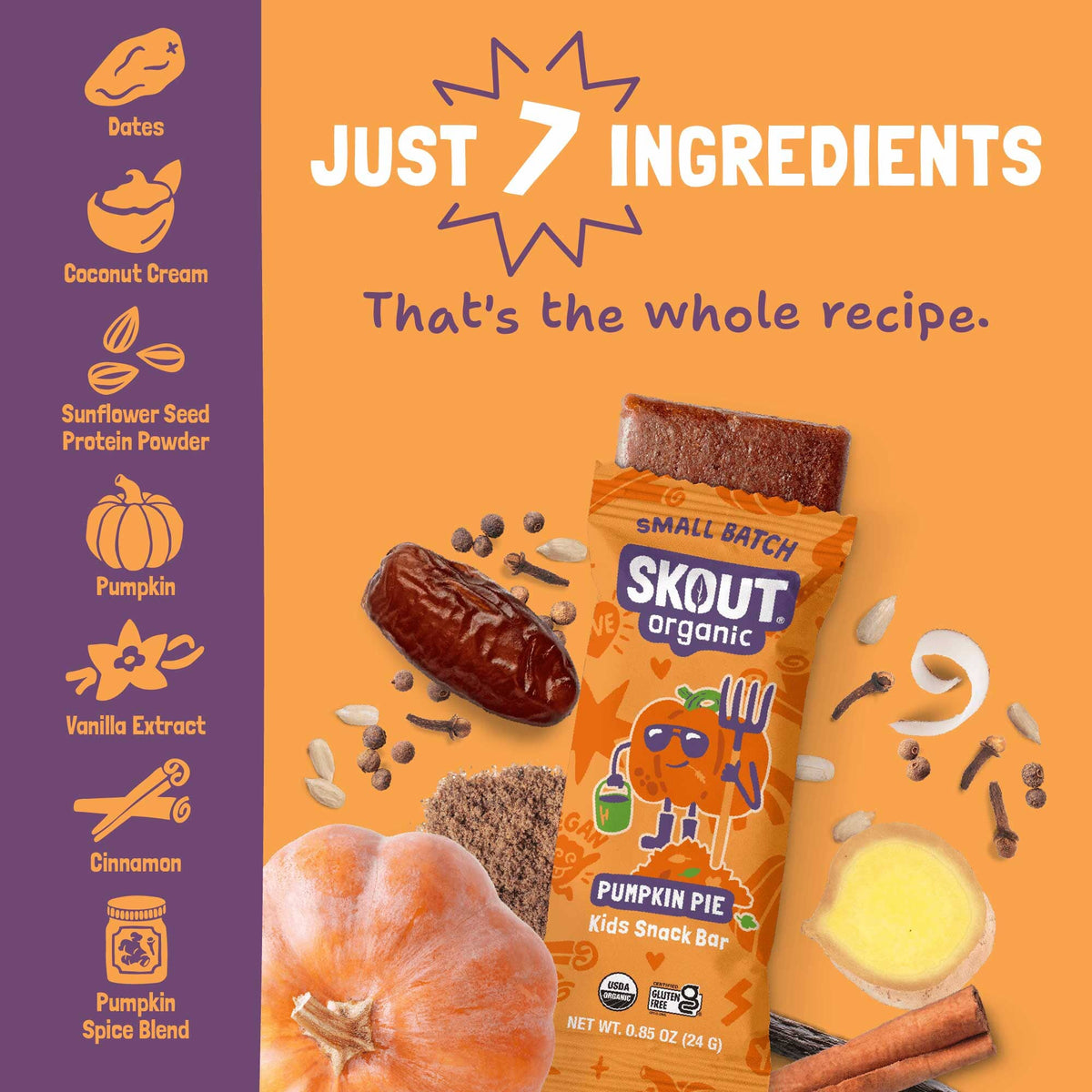 Skout Organic Pumpkin Pie Kids Bar Organic Kids Bars Skout Organic 