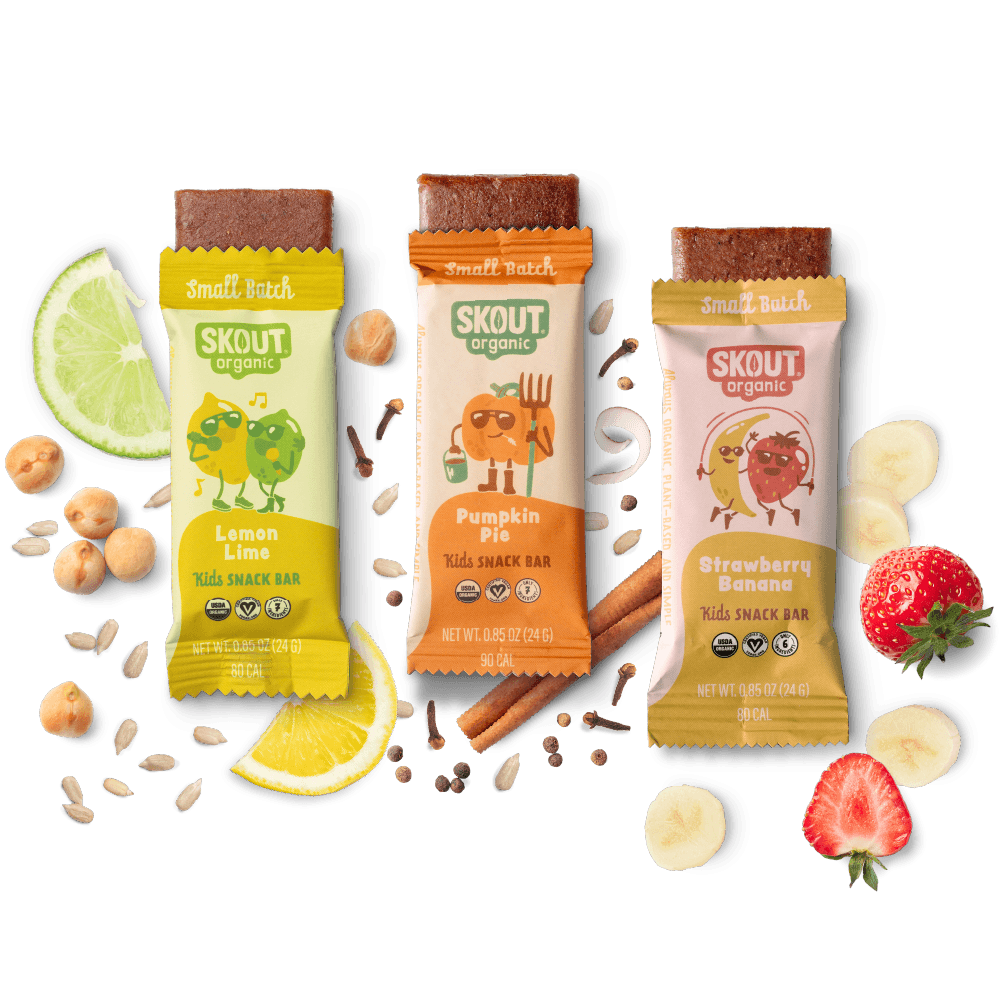 Skout Organic Small Batch Kids Bar Bundle Organic Kids Bars Skout Organic 