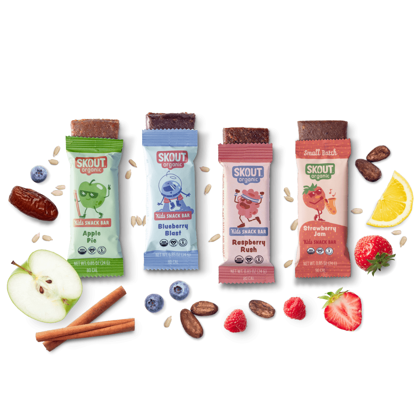 Skout Organic Small Batch Kids Fruit Bar Variety Pack