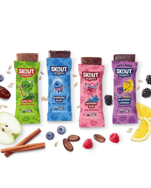Skout Organic Small Batch Kids Fruit Bar Variety Pack Organic Kids Bars Skout Organic 