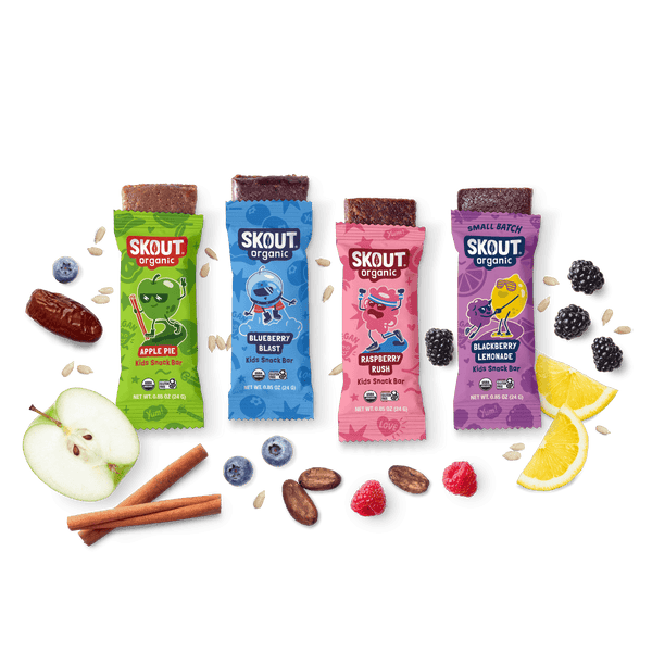 Skout Organic Small Batch Kids Fruit Bar Variety Pack Organic Kids Bars Skout Organic 