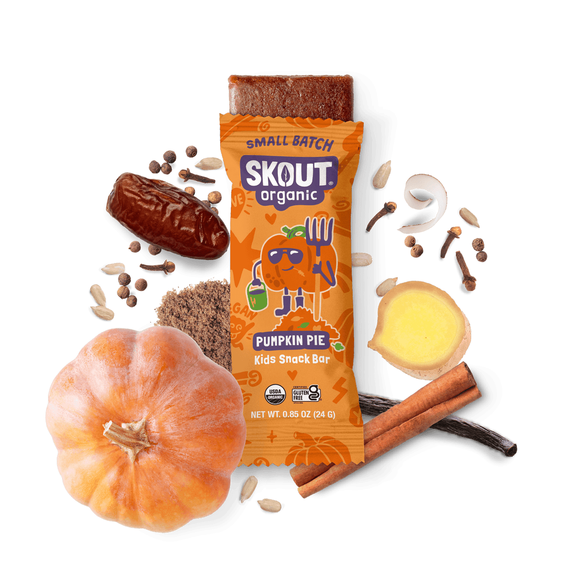 Skout Organic Pumpkin Pie Kids Bar Organic Kids Bars Skout Organic 