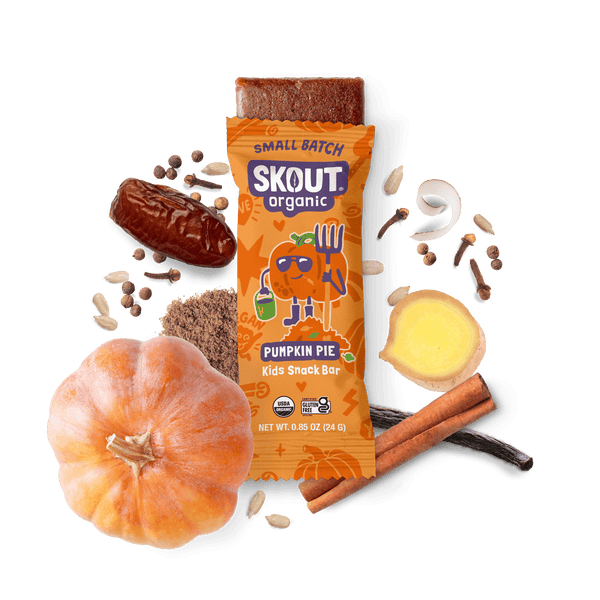 Skout Organic Pumpkin Pie Kids Bar Organic Kids Bars Skout Organic 