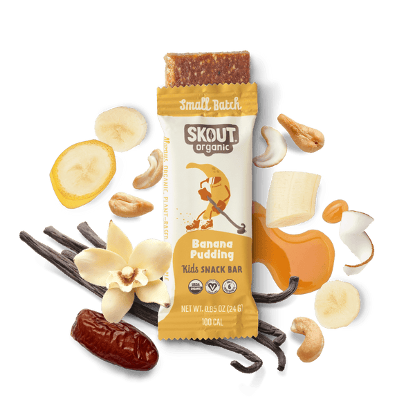 Skout Organic Banana Pudding Kids Bar Organic Kids Bars Skout Organic 6 Pack 