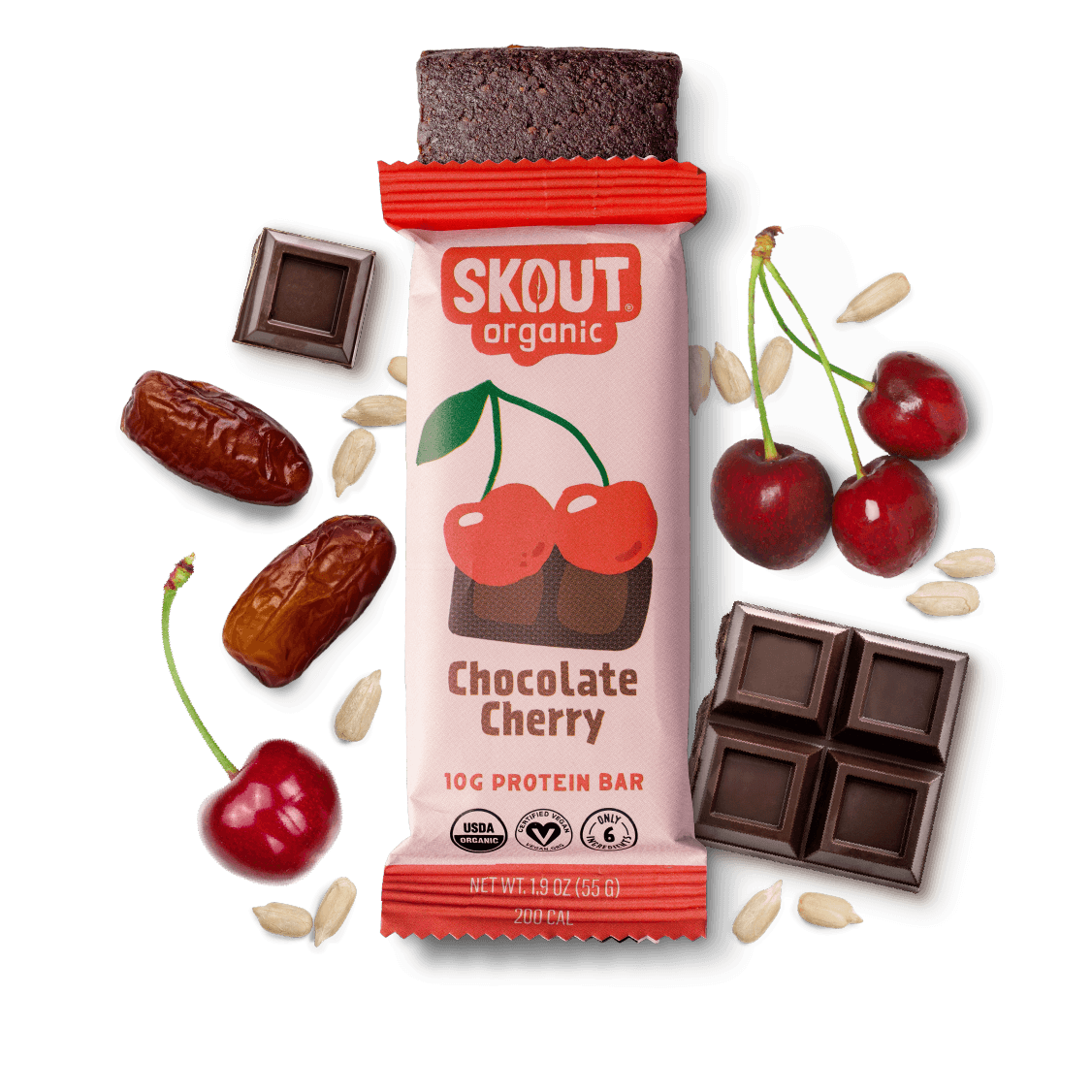 Skout Organic Chocolate Cherry Protein Bar