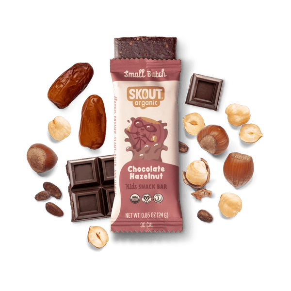 Skout Organic Chocolate Hazelnut Kids Bar Organic Kids Bars Skout Organic 6 Pack 