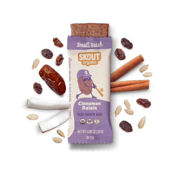 Skout Organic Cinnamon Raisin Kids Bar