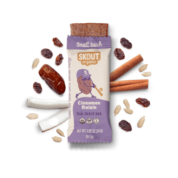 Skout Organic Cinnamon Raisin Kids Bar Organic Kids Bars Skout Organic 6 Pack 