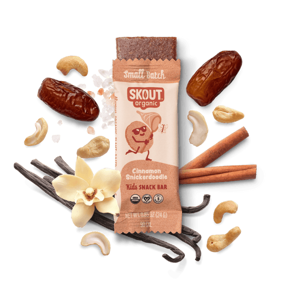 Skout Organic Cinnamon Snickerdoodle Kids Bar Organic Kids Bars Skout Organic 6 Pack 