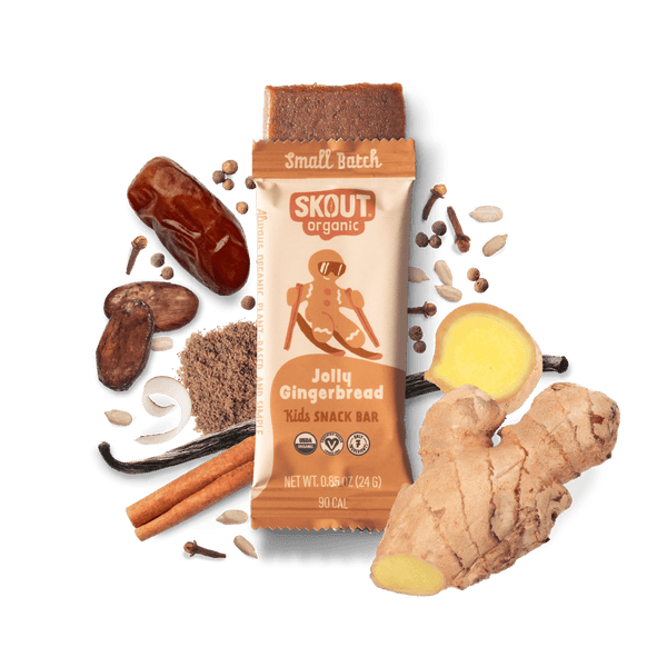 Skout Organic Jolly Gingerbread Kids Bar Organic Kids Bars Skout Organic 6 Pack 