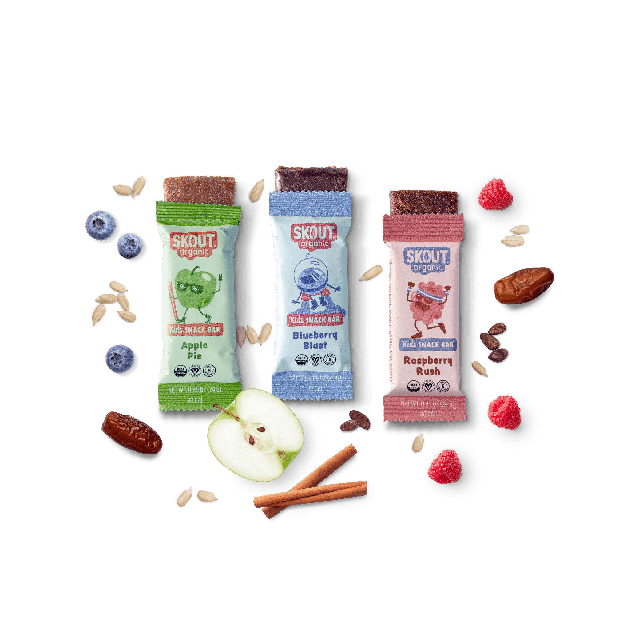 Skout Organic Kids Fruit Bar Variety Pack