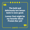 Skout Organic Lemon Zest Protein Bar