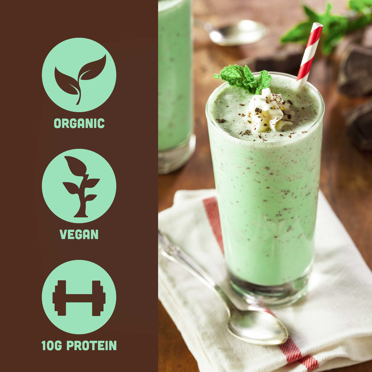 Skout Organic Mint Chocolate Protein Bar Organic Protein Bar Skout Organic 