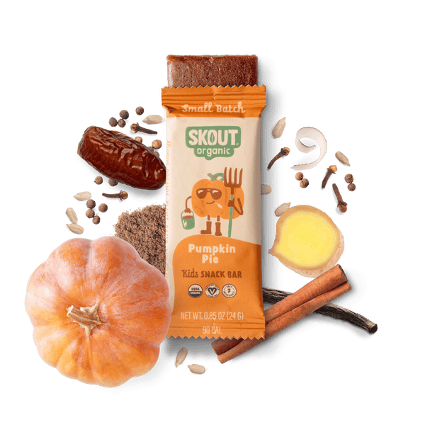 Skout Organic Pumpkin Pie Kids Bar Organic Kids Bars Skout Organic 